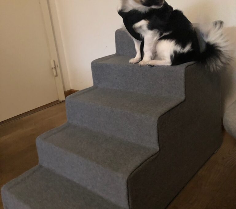 Lille Lea på bare 6 måneder prøver sin nye trappe